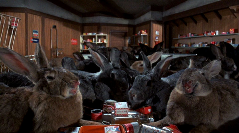 night-of-the-lepus